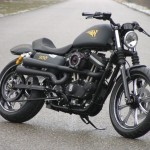 Walz Hardcore Custom Harley Davidson Motorcycle