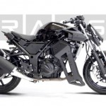 Kawasaki Ninja 250 Motorcycle Brasse 31blk Kit