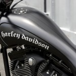 Custom Harley Davidson Doraco Badland