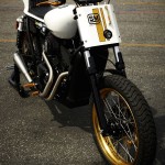 Custom Harley Davidson Street 500 Flat Tracker